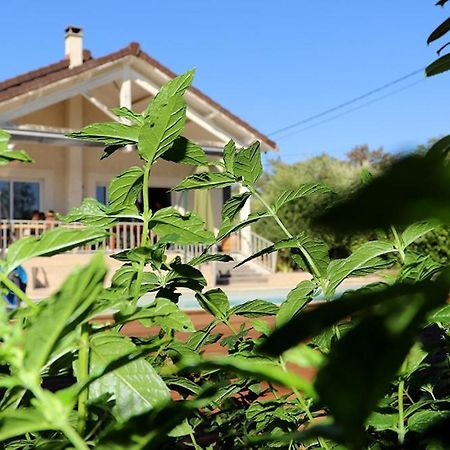 Maison Les Coquelicots Lyon Zewnętrze zdjęcie